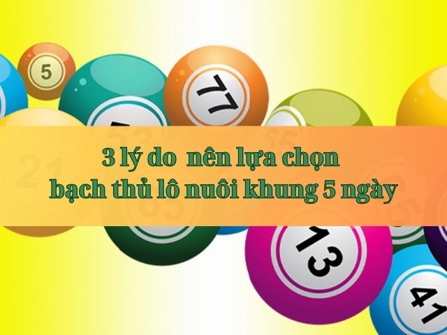 nuoi bach thu lo khung 5 ngay an quanh nam
