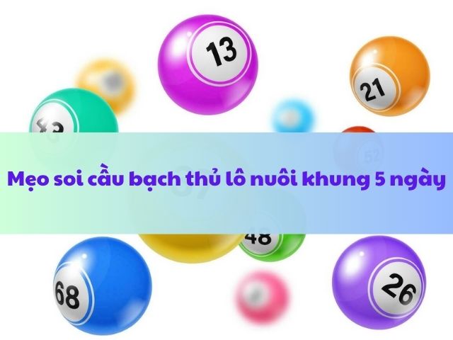 nuoi bach thu lo khung 5 ngay bat bai