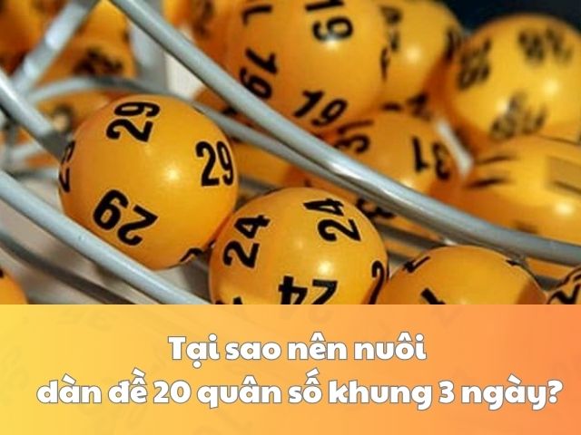nuoi dan de 20 so khung 3 ngay