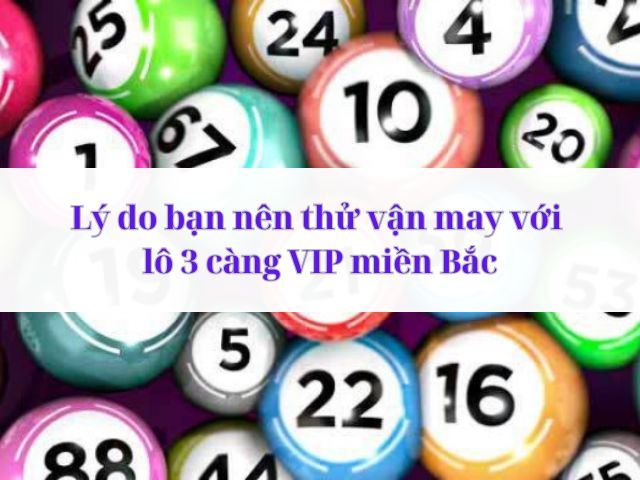 soi cau 3 cang mien bac