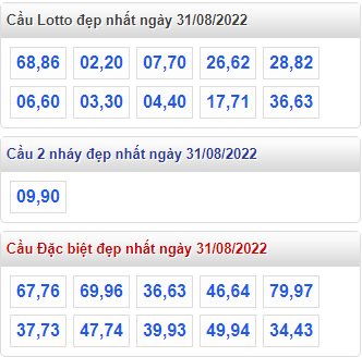 soi cau 247 cau dep nhat ngay 31-8-2022