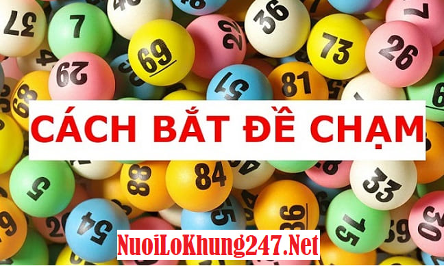 Tìm hiểu cầu đề 2 chạm nuôi tuần cực kỳ chuẩn xác