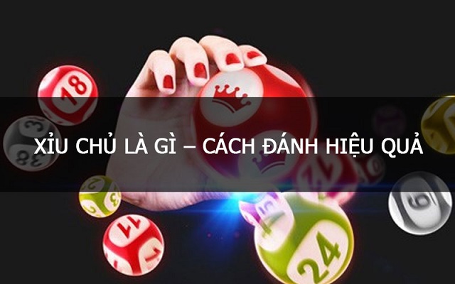 Soi cầu xỉu chủ là gì? Tiết lộ bí kíp soi cầu xỉu chủ chính xác 100%