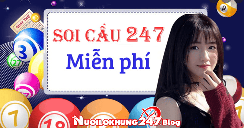 soi cau 247