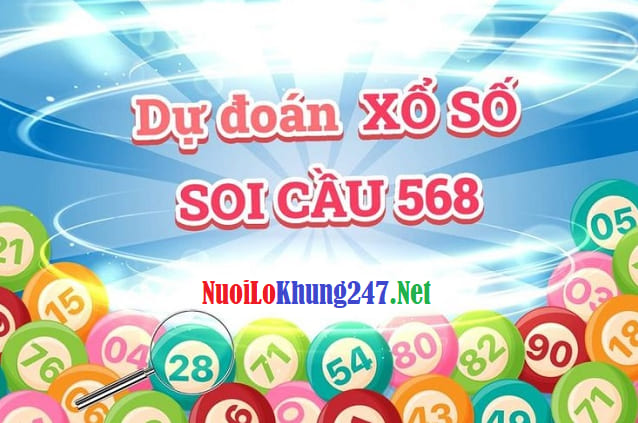 soi cau 568 1