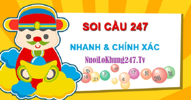 soi cau 247