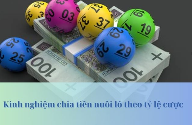 Kinh nghiệm chia tiền nuôi lô dựa trên tỷ lệ cược