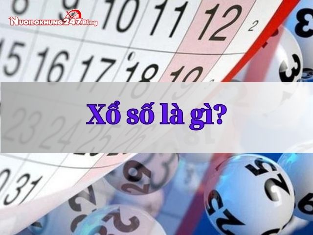Khám phá các loại hình xổ số phổ biến hiện nay đầy màu sắc
