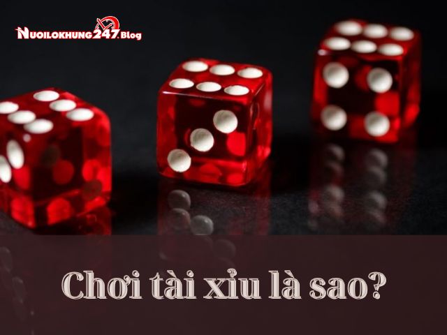 Hướng dẫn cách chơi tài xỉu và bí quyết để tăng tỷ lệ thắng