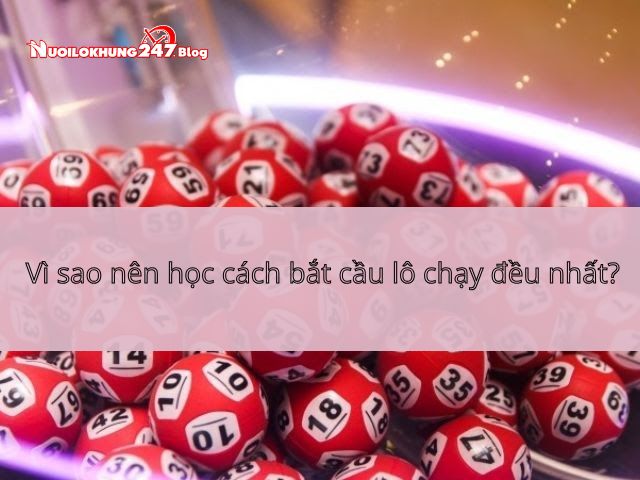 cau lo chay deu nhat 