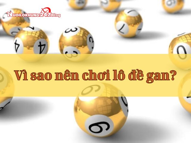 de gan la gi 