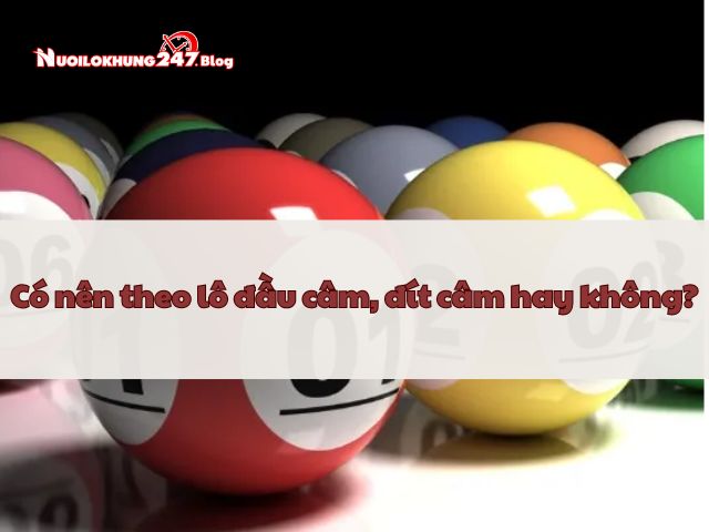 Giải đáp hiện tượng khi đầu câm đít câm đánh con gì?