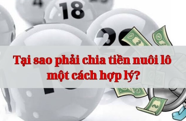 Khám phá kinh nghiệm chia tiền nuôi lô hiệu quả khi chơi lô đề