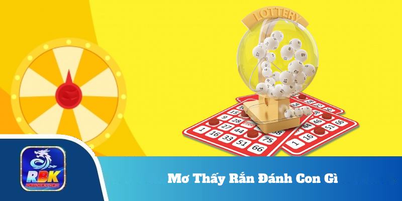 Mơ Thấy Rắn Đánh Con Gì Và Những Con Số Chuẩn Không Cần Chỉnh