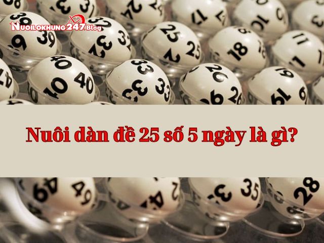Chiến lược nuôi dàn đề 25 số khung 5 ngày hiệu quả tỉ lệ trúng cao