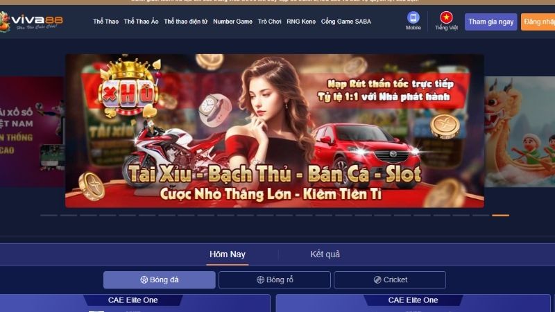 VIVA88 – Nhà Cái Dẫn Đầu Với Tỷ Lệ Kèo Cực Kỳ Hấp Dẫn