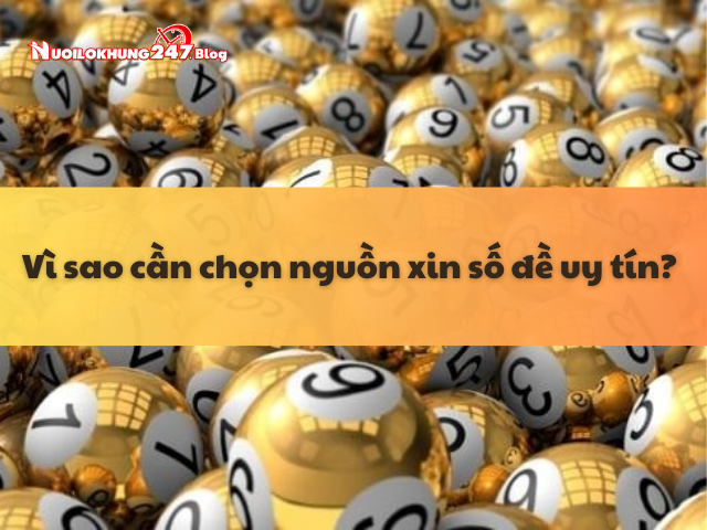 Bật mí: Xin số đề trên mạng ở đâu là uy tín nhất?
