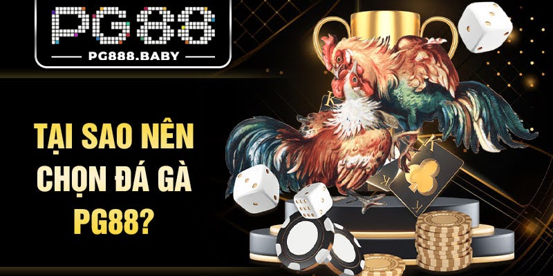 Đá Gà Pg88 
