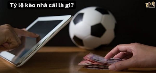 Khám phá các bộ môn cược thể thao, sòng bạc trực tuyến và nhiều hơn nữa nhacaiuytin1.cx