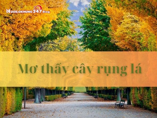 Ý nghĩa giấc mơ thấy cây 