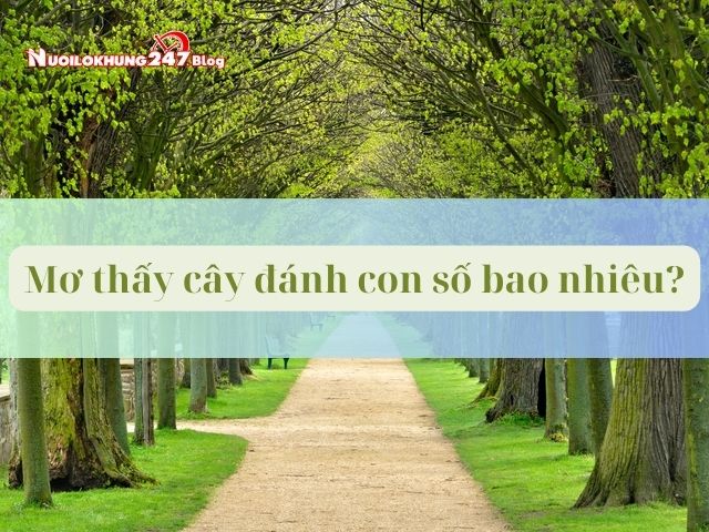 Ý nghĩa giấc mơ thấy cây 