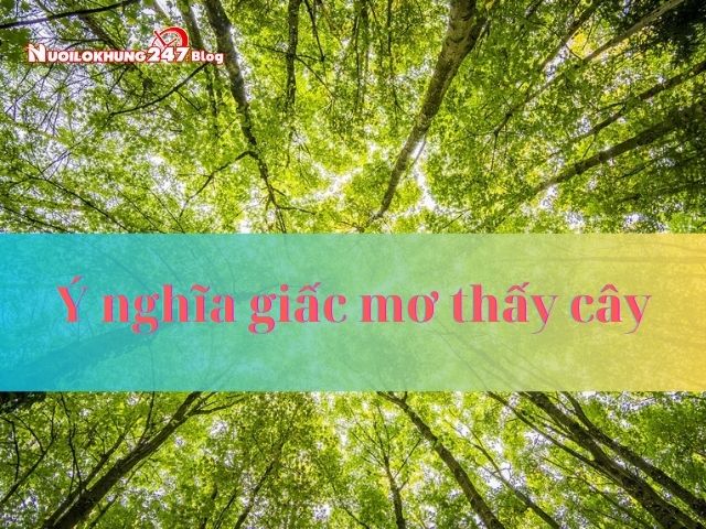 Giải mã: Ý nghĩa giấc mơ thấy cây? Con số tài lộc?