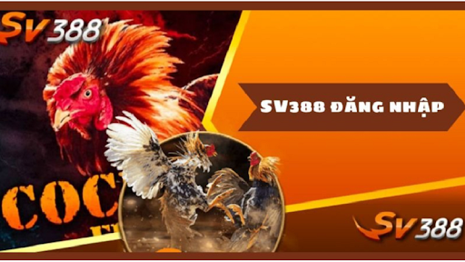 Đăng nhập SV388 nhanh chóng an toàn trải nghiệm cá cược đỉnh cao