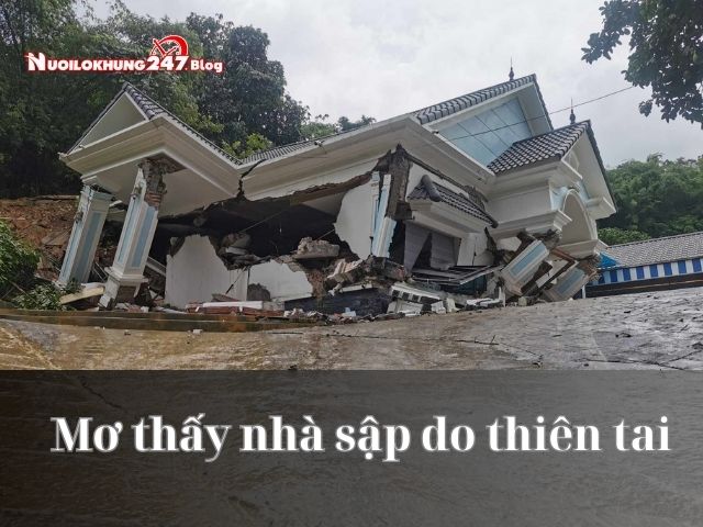 Mơ thấy nhà sập đánh con gì