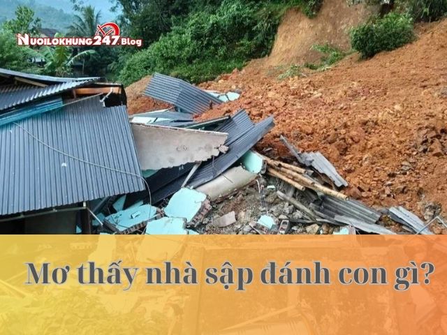 Mơ thấy nhà sập đánh con gì